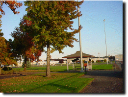 Picnic Area